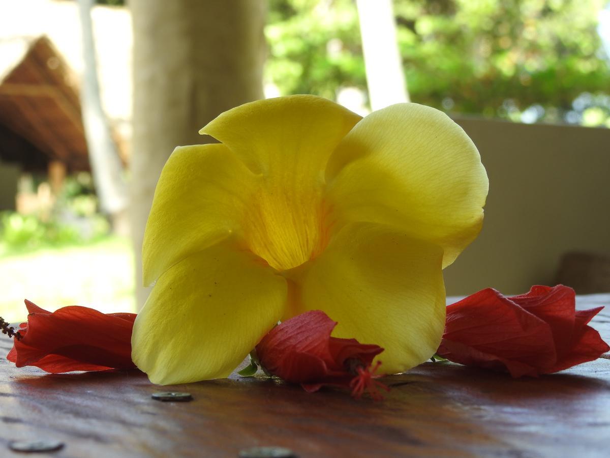 Mafia Kivulini Lodge Mafia Island ภายนอก รูปภาพ